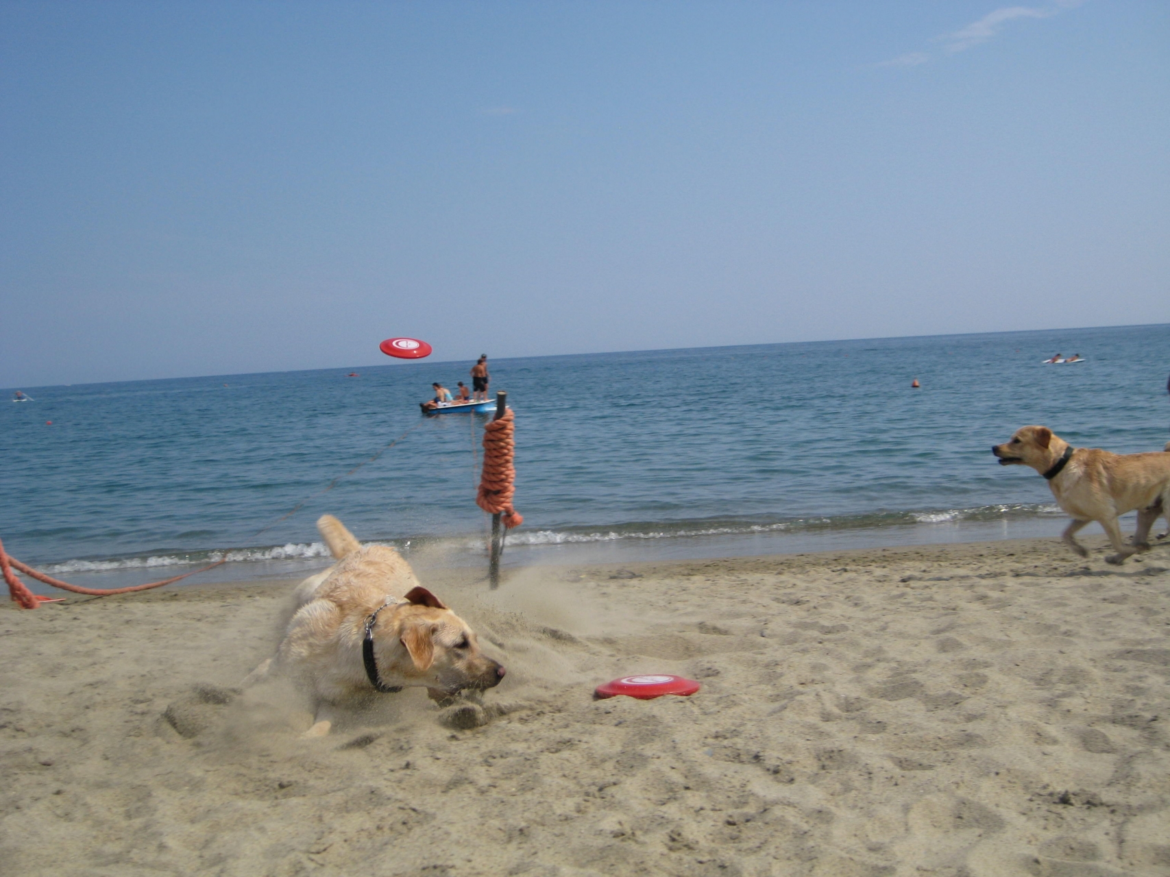 ESTATE 2008 -2009_021