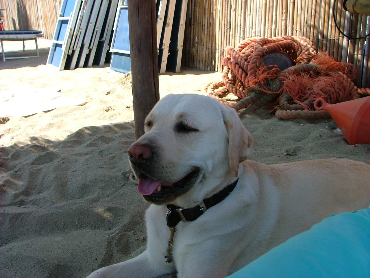 ESTATE 2008 -2009_025