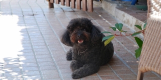 ESTATE 2008 -2009_001