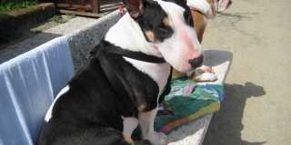 ESTATE 2008 -2009_032