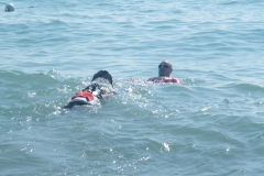 ESTATE 2010_032