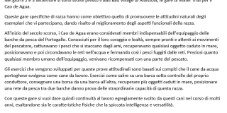Testo